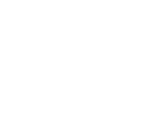 Tudor - Logo