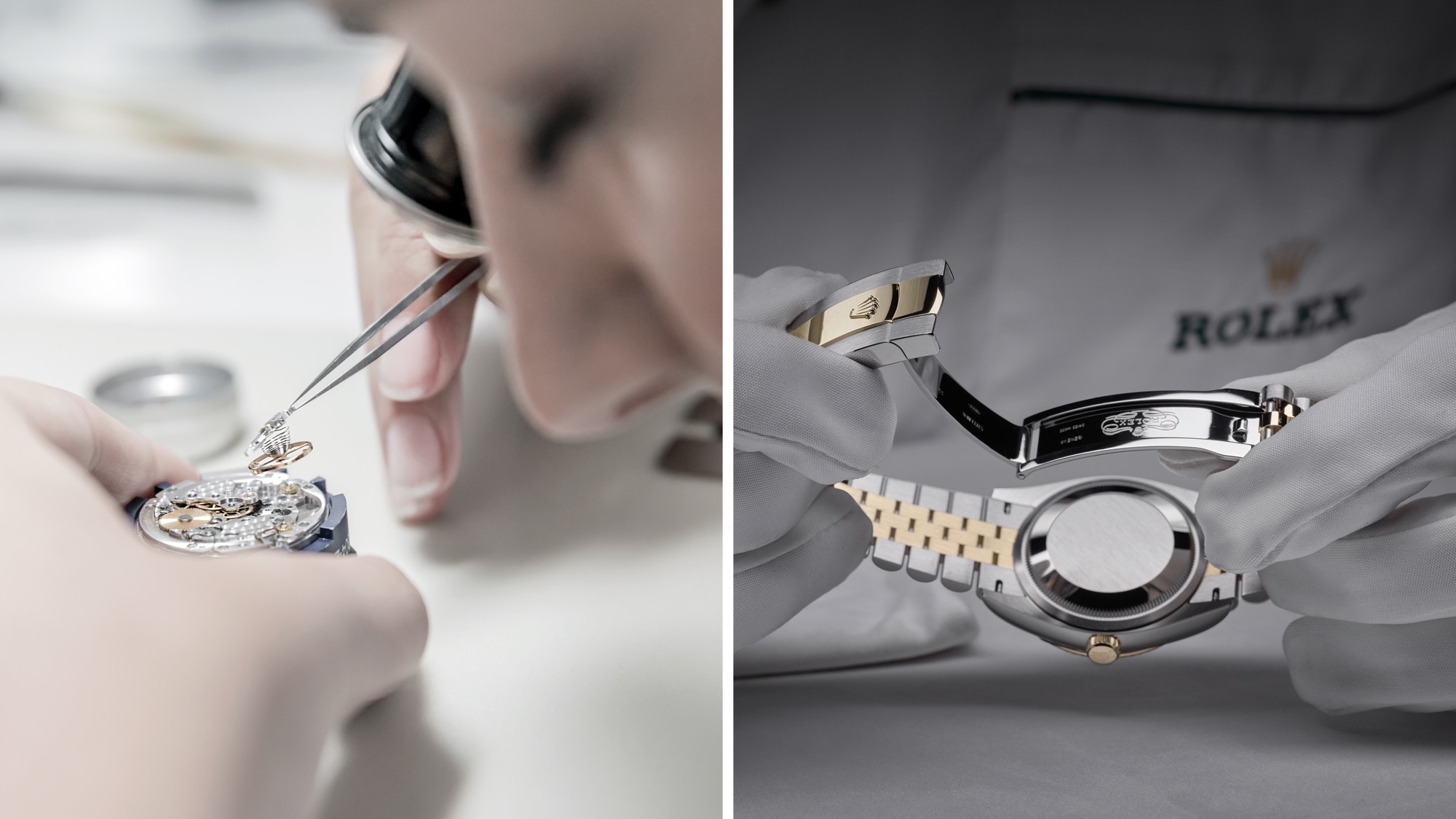 Vielfältiges Know-how unter einem Dach