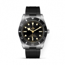 TUDOR BLACK BAY 54