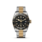 TUDOR Black Bay S&G